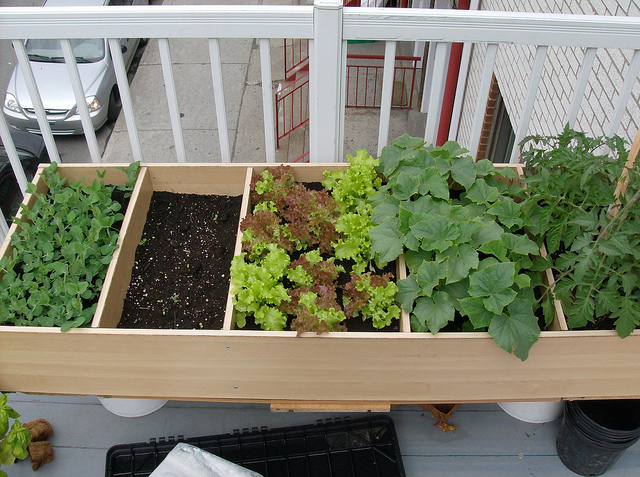 Old Bookshelf As A Planter Box By Ansonpotter Via Flickr We
