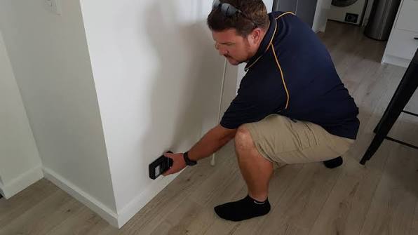 Termite Inspection in Sydney