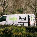 pest control blue mountains