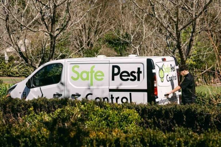 pest control blue mountains
