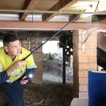 termite and pest treatment