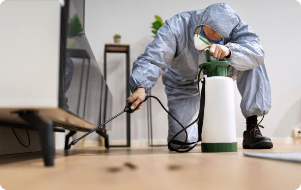 sydney rodent removal