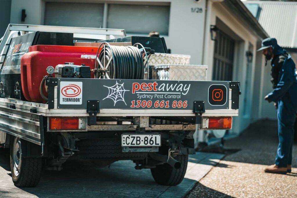 pest control blue mountains