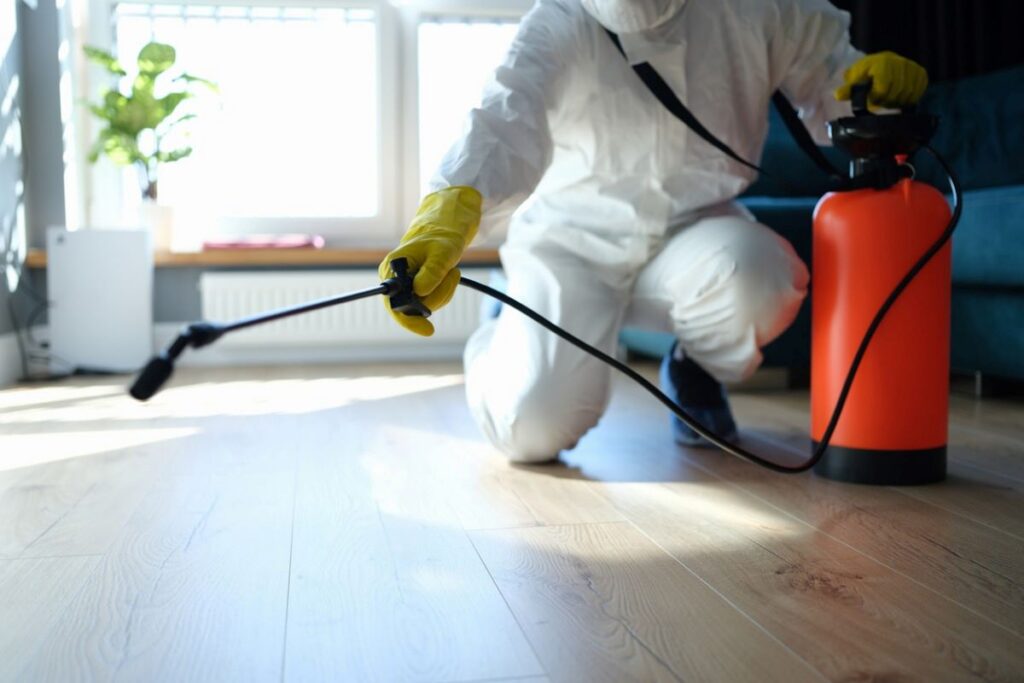 pest control blue mountains